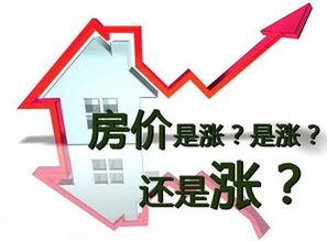 哈市房产爆料最新消息新闻,揭秘价格波动与政策影响  第1张