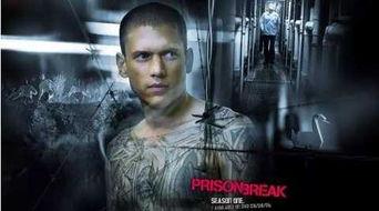 越狱第5季在线观看,逃亡之路再启  第1张